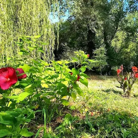 Wake Up In Umbria Feriehus Massa Martana