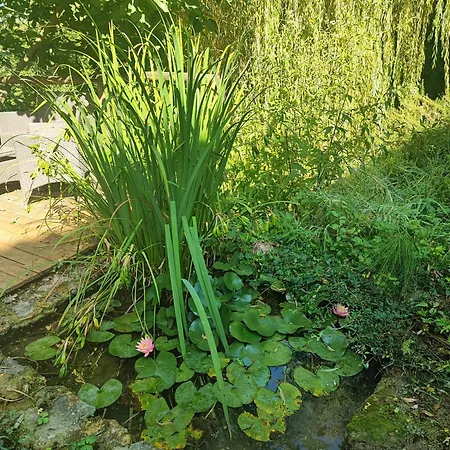 Wake Up In Umbria Massa Martana